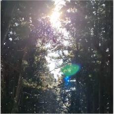 育っていく風景2